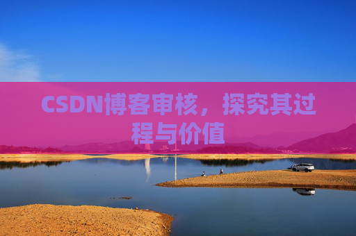 CSDN博客审核,探究其过程与价值